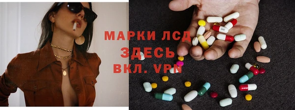 стафф Россошь
